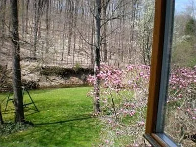 594 Lake Of The Woods Blvd photo 1
