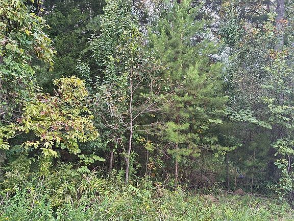 5th image of Tract 4 Crooked Lane NW