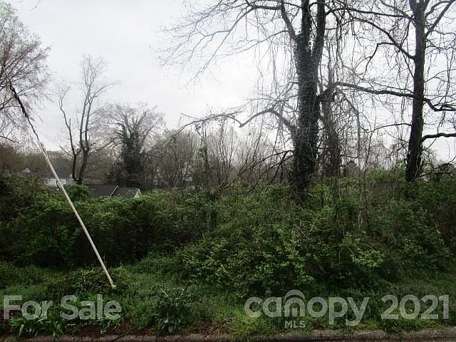 2nd image of 0 W Miller St