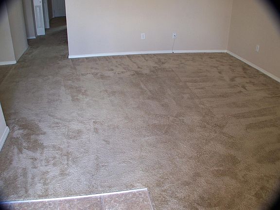 2nd image of 508 Winterspring Pl