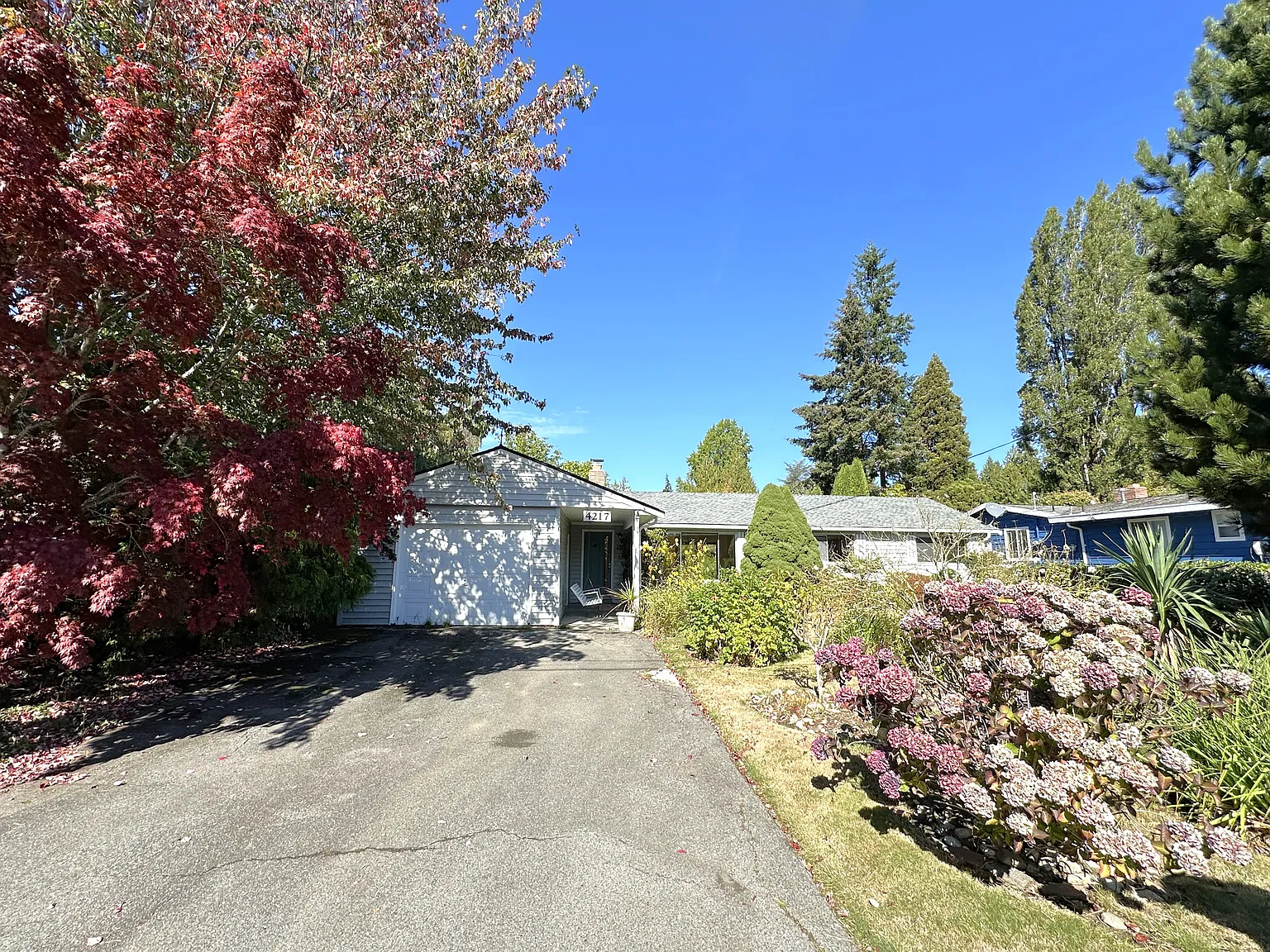 3 bed, 1.5 bath, 1440 sqft, $3,150 — Photo 2