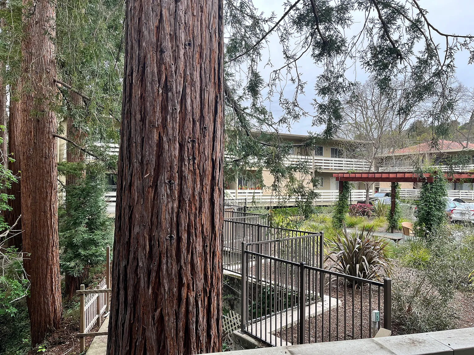 Redwood Creek Apartments — Photo 4