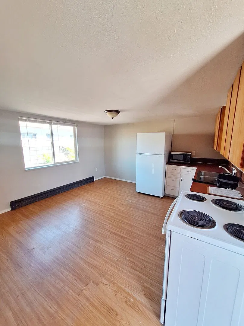 Cozy 1 bed 1 bath — Photo 3