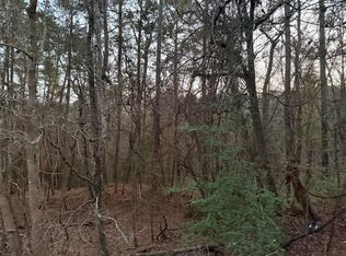 126 Green Tree Dr, Coldspring, TX 77331