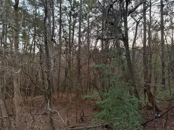 126 Green Tree Dr, Coldspring, TX 77331