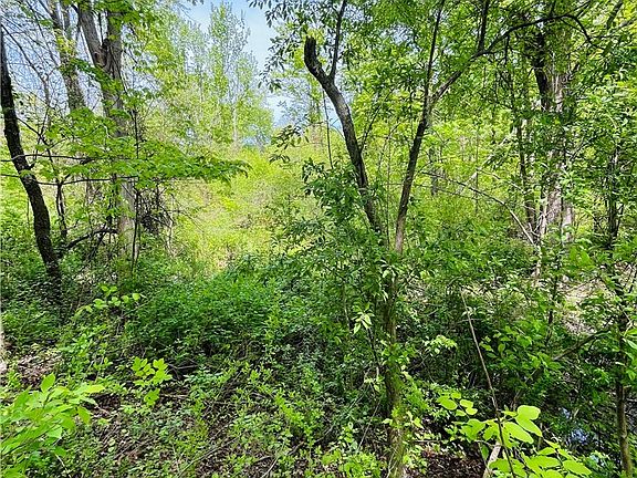 4th image of Bates Rd