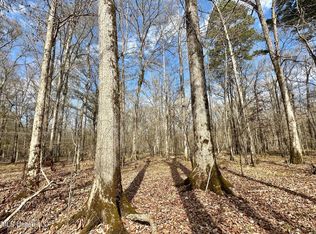 1 Evans Rd, Carthage, MS 39051