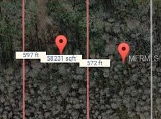 18126 Hanson Rd, Land O Lakes, FL 34638