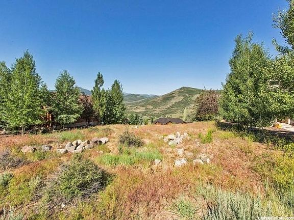 4th image of 12431 Deer Mountain Blvd