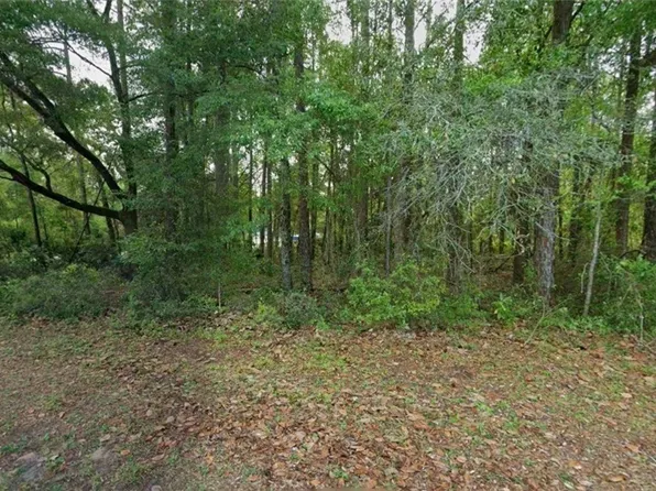 10181 N Gardner Way, Citrus Springs, FL 34434