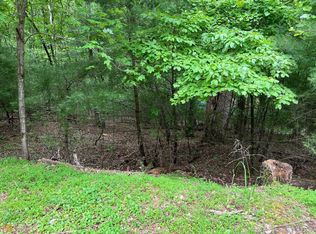 0 Walnut Mountain Ct, Ellijay, GA 30536