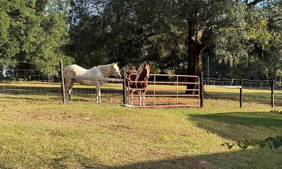 1st image of 41030 Oak Grove Rd