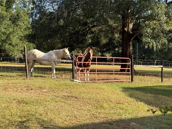 41030 Oak Grove Rd, Weirsdale, FL 32195