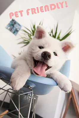 Rented by Bohemia Realty Group | media 7