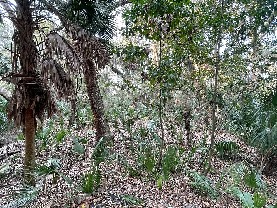 1st image of 539 Oristo Rdg