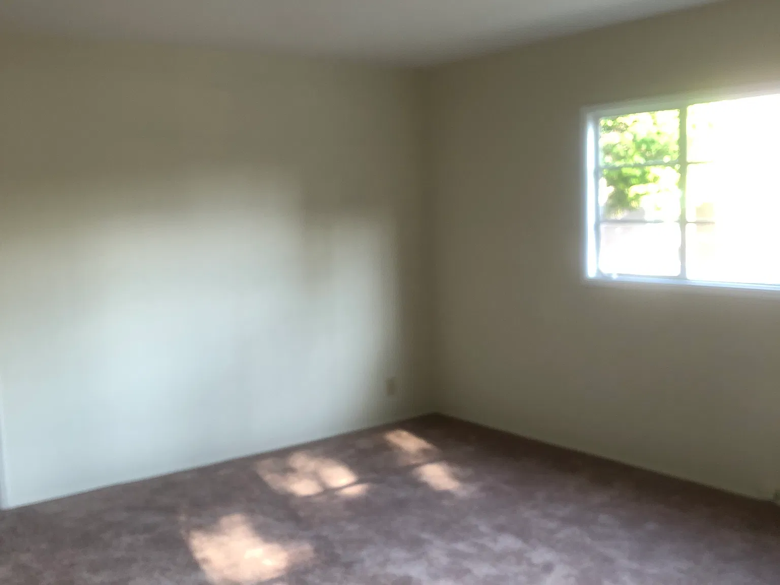 1 bed, 889 sqft, $2,250 — Photo 3