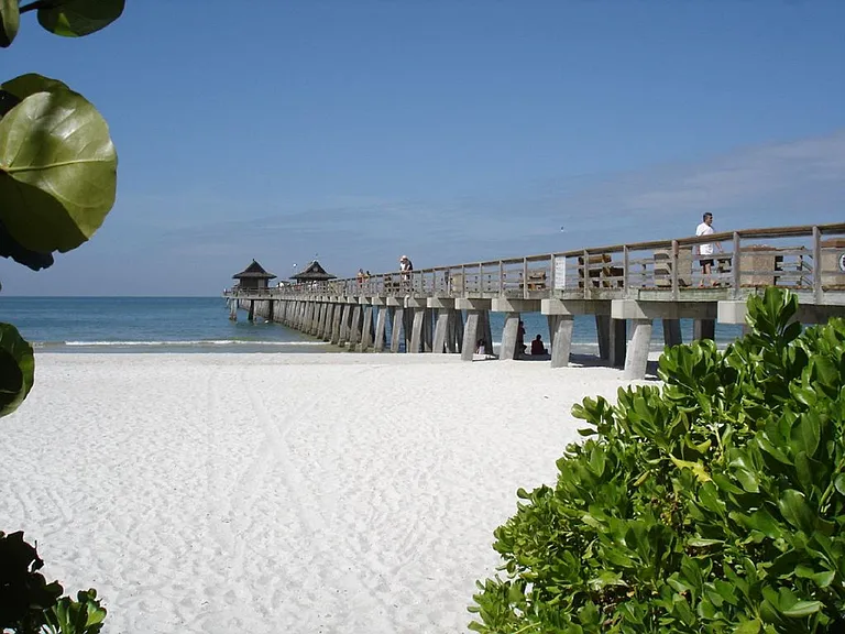 2900 Gulf Shore Blvd N #116 — Photo 43