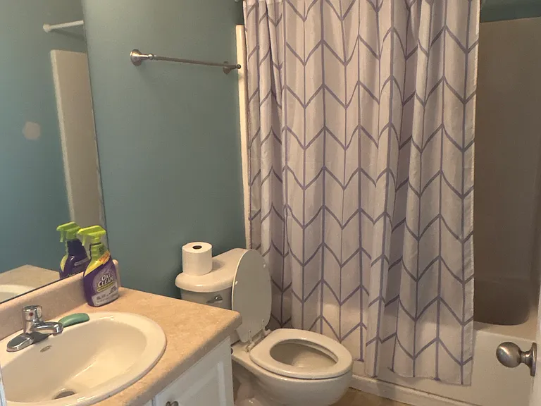 114 Palm Branch Way — Photo 7