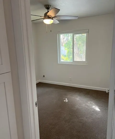 141 Holly Ave — Photo 13