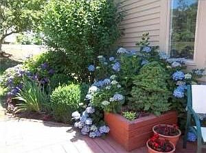 5th image of 186 Pine Glen Dr