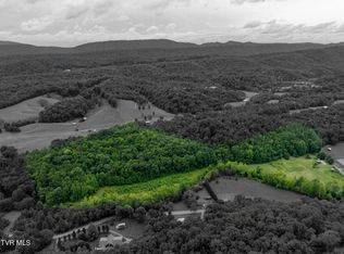 123 Tarpine Valley Rd, Rogersville, TN 37857