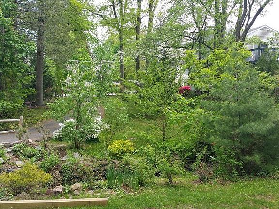 Can't see road from house.