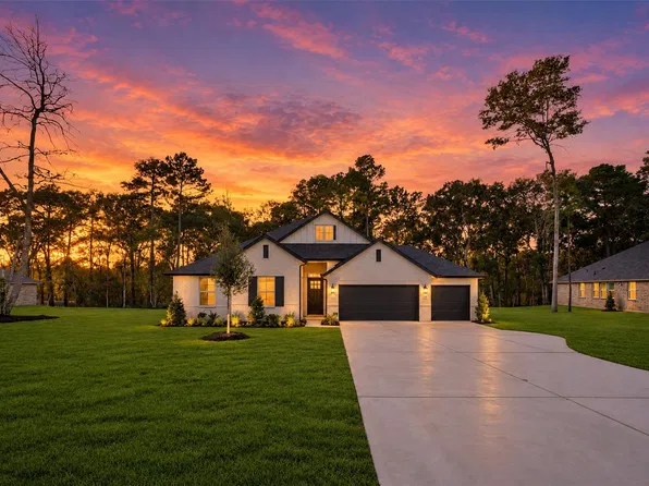 131 Roebuck Ln, New Waverly, TX 77358