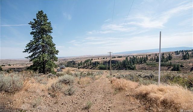 road is on West side of property. White pole is approx corner NW. Tree on property.