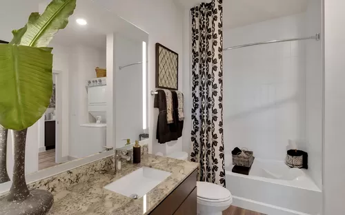Spa Inspired Bathroom Featuring Large Soaking Tub - Alta Green Mountain