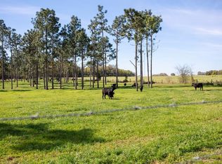 192 Breedlove Rd, Bainbridge, GA 39817