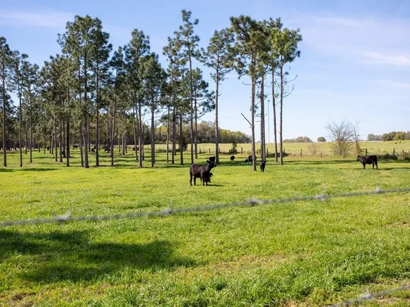 192 Breedlove Rd, Bainbridge, GA 39817