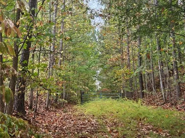 0 Swan Bridge Rd #18.24, Talking Rock, GA 30175