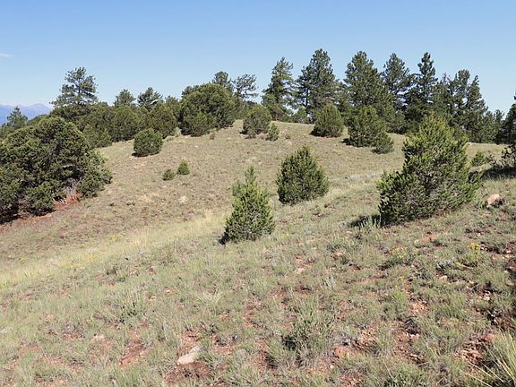 3rd image of 1182 Music Mountain Dr