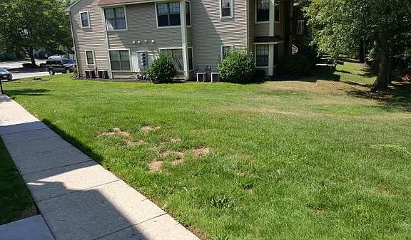 Outdoor facing away Unit