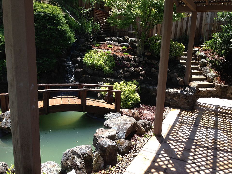 Waterfall/pond/bridge/steps