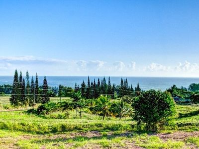 Overpass Rd Lot 60, Pepeekeo, HI, 96783