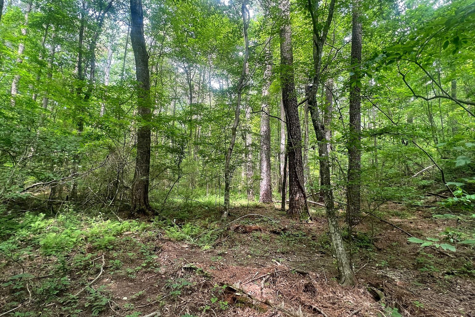 Township Road A Yukon Rd, Ellijay, GA 30540 Zillow