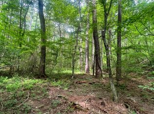 Township Road A Yukon Rd, Ellijay, GA 30540