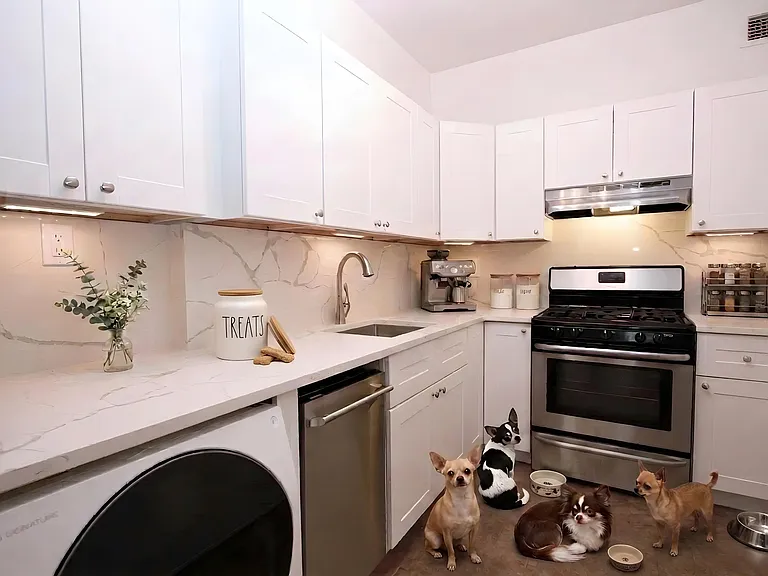384 Bergen St #2 — Photo 5