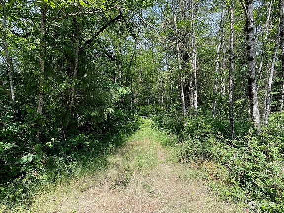3rd image of 0 Spirit Lake Highway #0037