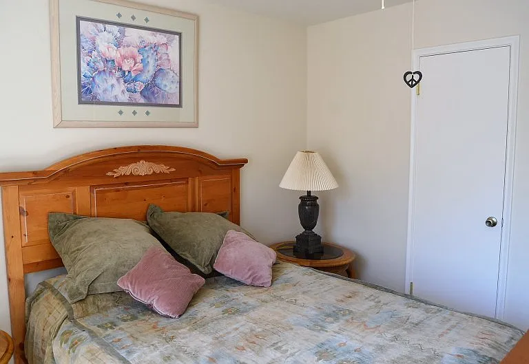 The spare bedroom has a queen bed with a memory foam mattres and a deep closet.