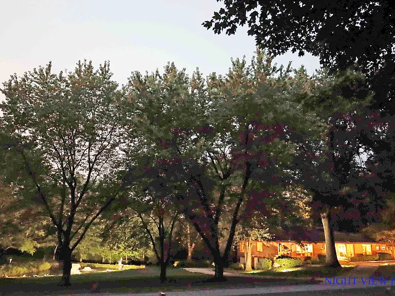 STREET VIEW OF MAIN RESIDENCE