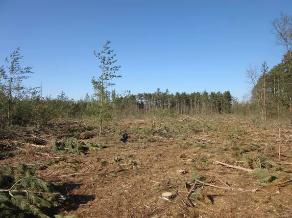 Evergreen, Adams, WI 53910