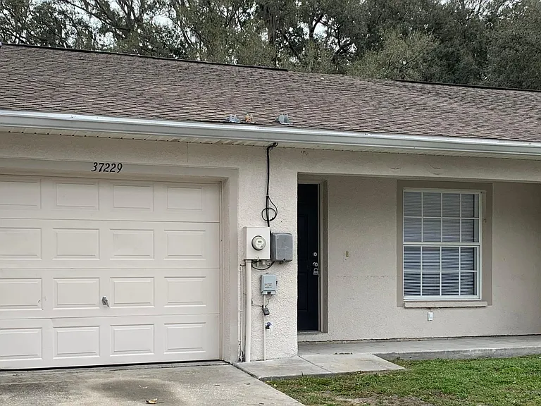 37229 Grassy Hill Ln — Photo 1