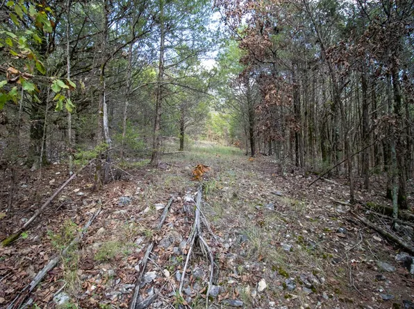 0 Needles Eye Trl, Mammoth Spring, AR 72554