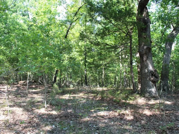 000 Lakeshore Road Lot 10, Protem, MO 65733