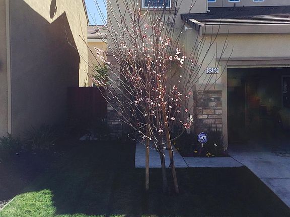 2nd image of 3252 Torrance Ave