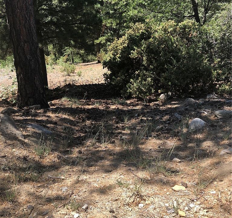 1st image of 0 Cedar