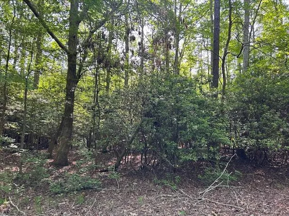 17 Custom House Rd, Greenbackville, VA 23356