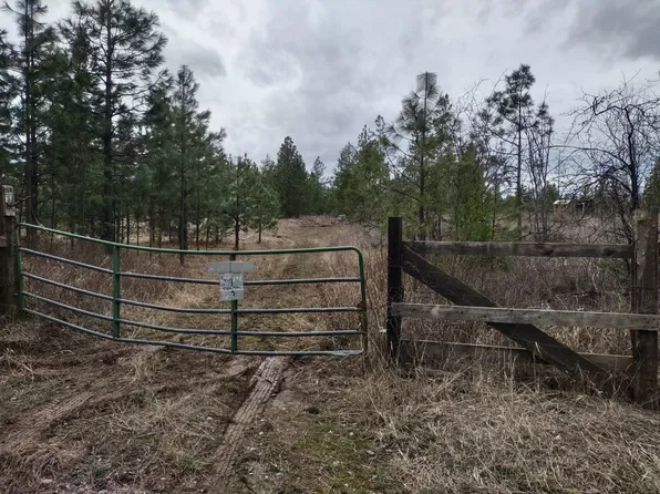 Xx Lyons Hill Rd, Springdale, WA 99173